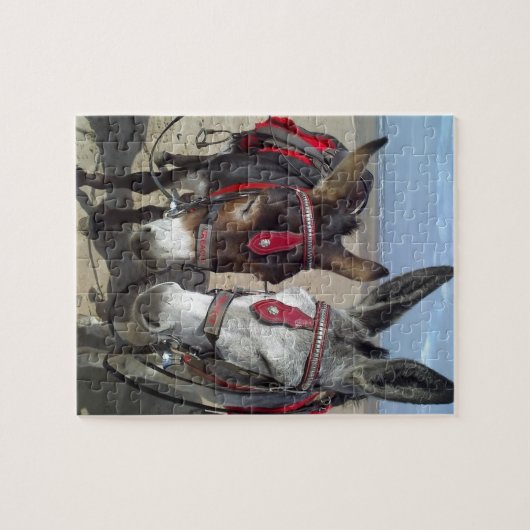 Strandesel Puzzle (Horizontal)