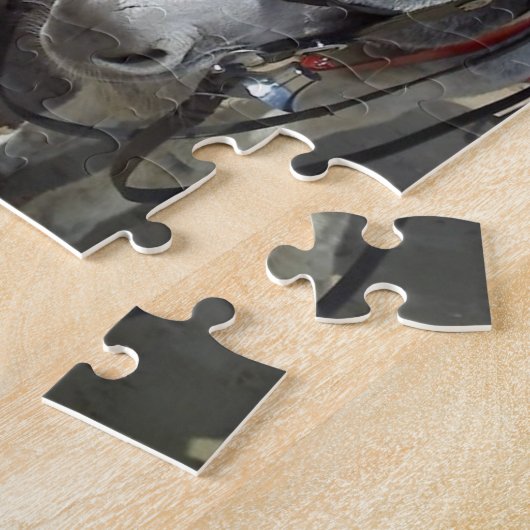 Strandesel Puzzle (Seite)