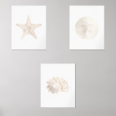 Strandfarbener Sandstrand Muschel Bilderwand Sets (Vorderseite)