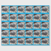 Strandfelsumschlagpapier Geschenkpapier (Flach)