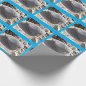 Strandfelsumschlagpapier Geschenkpapier (Ecke)