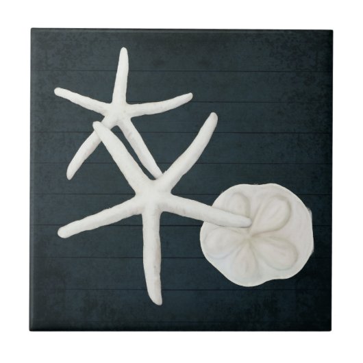 Strandfisch Sanddollar-Muscheln Navy Blauer Wald Fliese (Vorderseite)