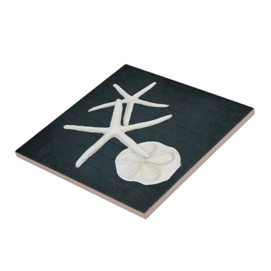 Strandfisch Sanddollar-Muscheln Navy Blauer Wald Fliese (Seite)