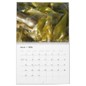 Strandfotografie Kalender (Mär 2026)