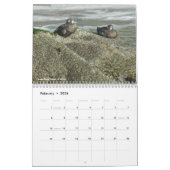Strandfotografie Kalender (Feb 2026)