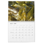 Strandfotografie Kalender (Mär 2027)