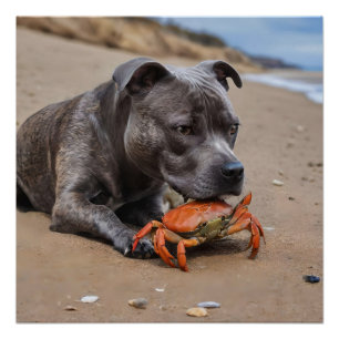 "Strandfreunde: Ein Staffy und sein Krabbenbegleit Poster