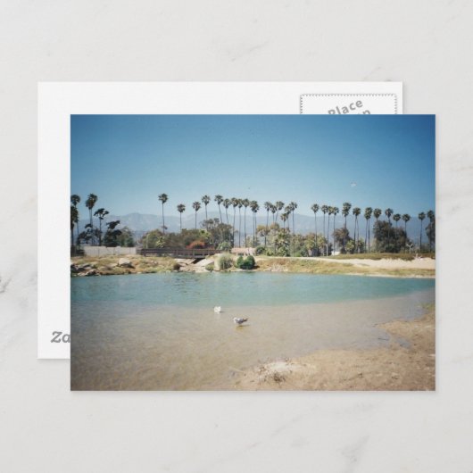 Strandfront Postkarte (Vorne/Hinten)