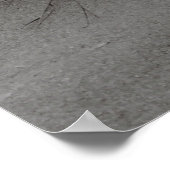 Strandgras Poster (Ecke)