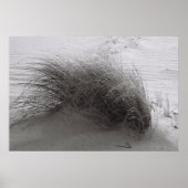 Strandgras Poster (Vorne)