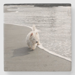 Strandgut Westie Hund Foto Stein Untersetzer