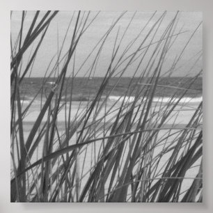 STRANDHAFER POSTER
