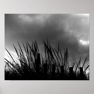 Strandhafer Poster