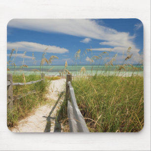 Strandhafer (Uniola paniculata) wächst am Strand, Mousepad