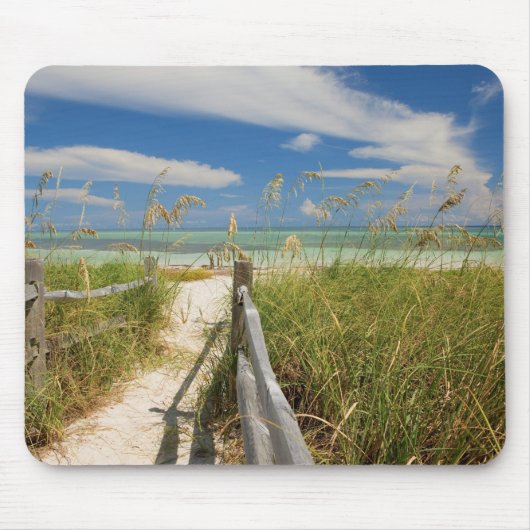 Strandhafer (Uniola paniculata) wächst am Strand, Mousepad (Vorne)
