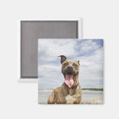 Strandhund Magnet (Vorderseite/Rückseite)