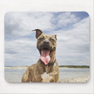 Strandhund Mousepad