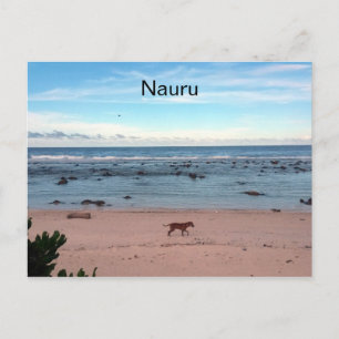 Strandhund Postkarte