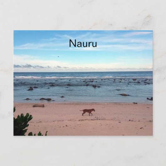 Strandhund Postkarte (Vorderseite)