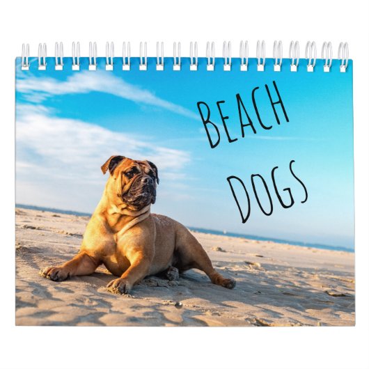 Strandhunde Kalender (Titelbild)