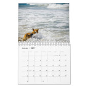 Strandhunde Kalender (Jan 2027)