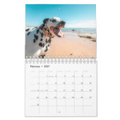 Strandhunde Kalender (Feb 2027)