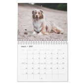 Strandhunde Kalender (Mär 2027)