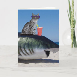 STRANDKATZE AUF DER HARKFUNNY BIRTHDAY CARD KARTE