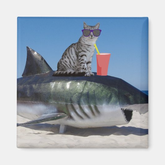 STRANDKATZE AUF SCHARKEN FUNNY Magneten Magnet (Vorne)