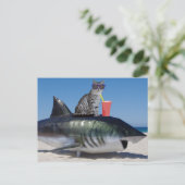 STRANDKATZE AUF SHARK FUNNY POSTCARD POSTKARTE (Stehend Vorderseite)