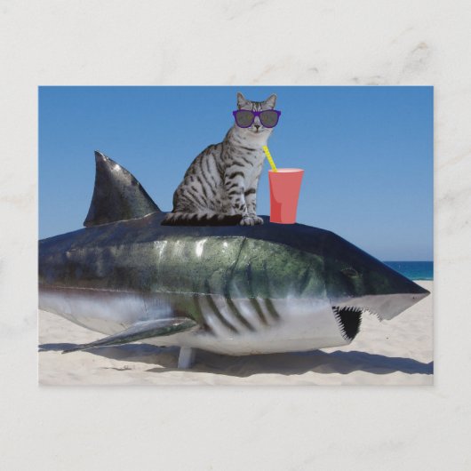 STRANDKATZE AUF SHARK FUNNY POSTCARD POSTKARTE (Vorderseite)