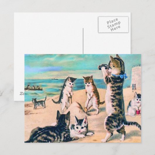 Strandkatzen Postkarte (Vorne/Hinten)
