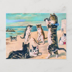 Strandkatzen Postkarte