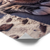 Strandkatzenkleidung Sonnenbrillen Poster (Ecke)