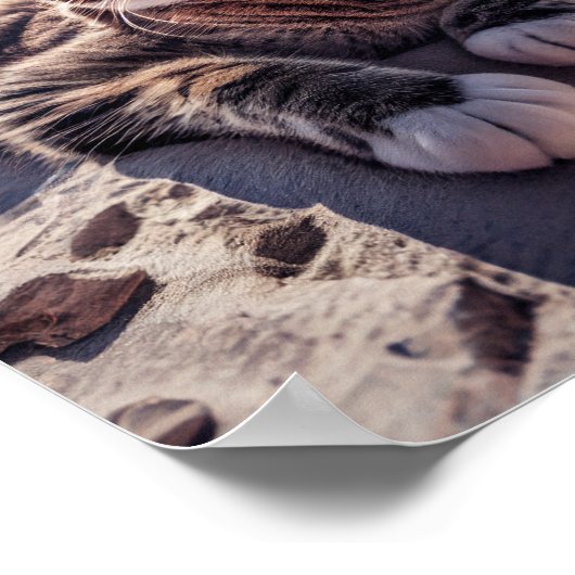 Strandkatzenkleidung Sonnenbrillen Poster (Ecke)