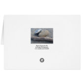 Strandkies und Holzkarte (Rückseite Horizontal)