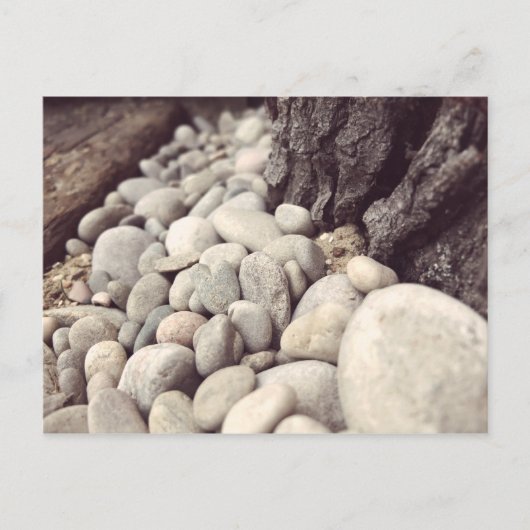 Strandkiesel Postkarte (Vorderseite)