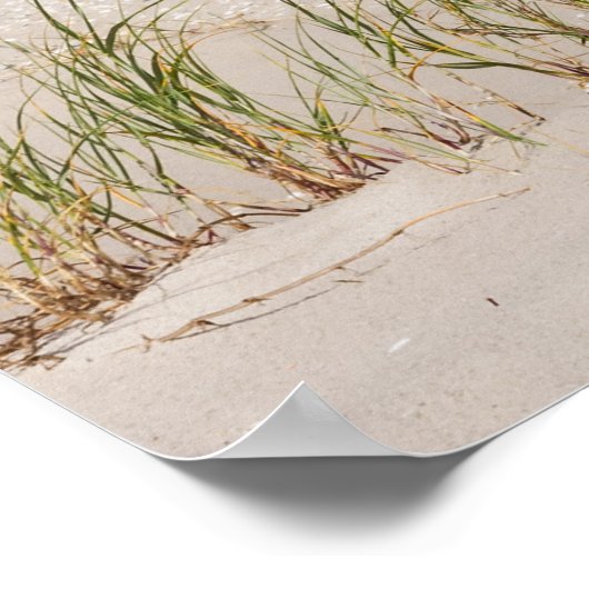 Strandkorb 337 poster (Ecke)