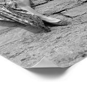 Strandkostümwettbewerb, 1921. Vintages Foto Poster (Ecke)