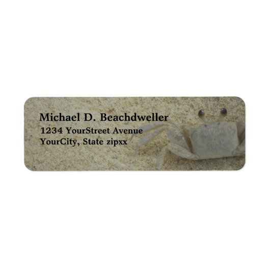 Strandkrabbe (Vorne)