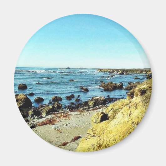 Strandküste im Monterey Ocean Water Sea Magnet (Vorne)