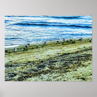 Strandlandschaftsfoto von Rhode Island Poster