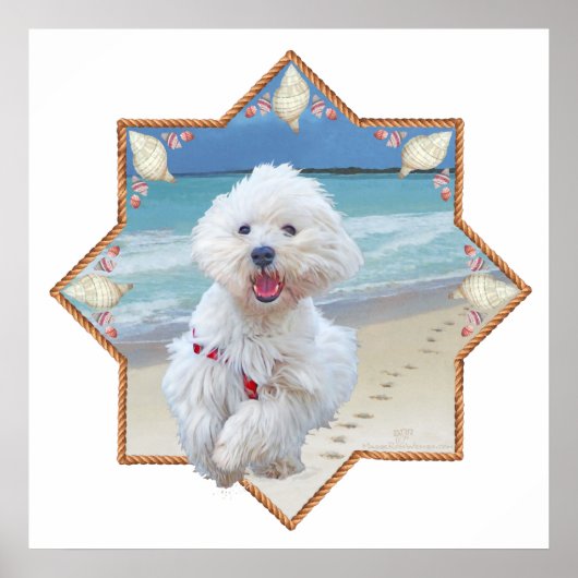 Strandlauf Poster (Vorne)