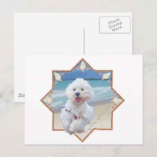 Strandlauf Postkarte (Vorne/Hinten)