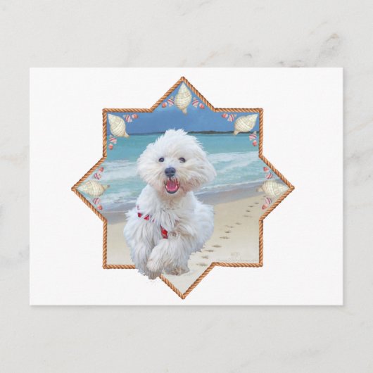 Strandlauf Postkarte (Vorderseite)