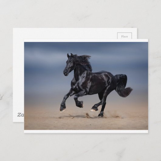 Strandlauf Postkarte (Vorne/Hinten)