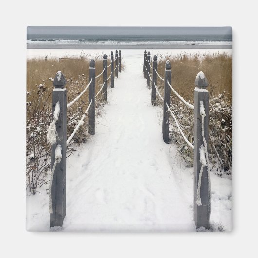 Strandmais Magnet (Vorne)