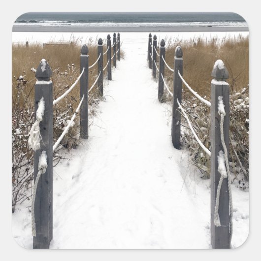 Strandmais Quadratischer Aufkleber (Vorderseite)