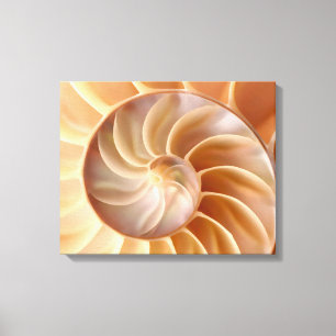 Strandnautilus-Muschel-Kunst-Leinwand-Druck Leinwanddruck