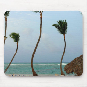 Strandpalme Mousepad